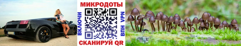 Псилоцибиновые грибы Cubensis Орёл